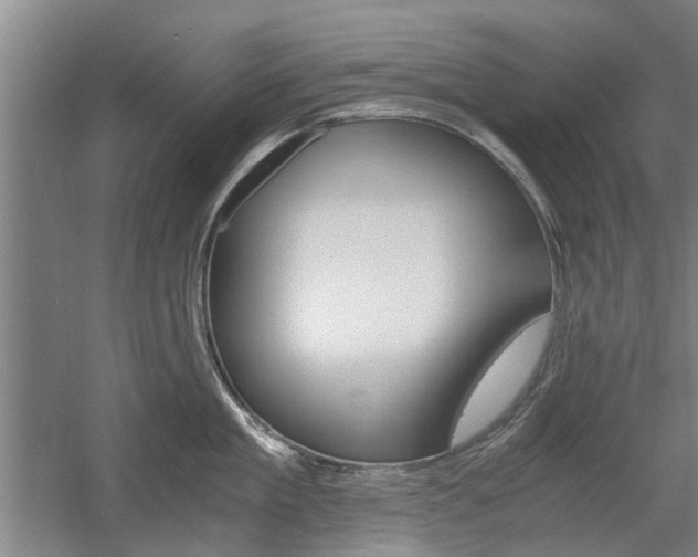 X0000058760909200509300810