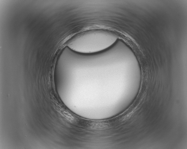 X0000058760921200509300810