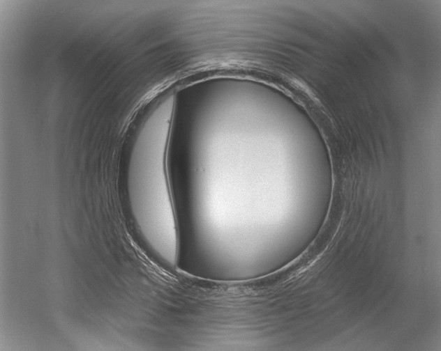 X0000058760922200509300810