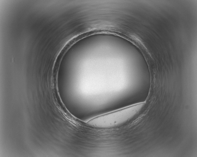 X0000058760924200509300810