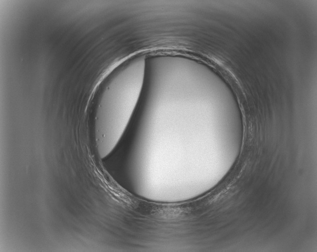 X0000058760925200509300810
