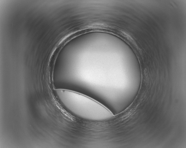 X0000058760931200509300810