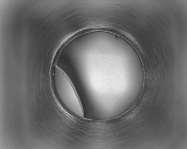 X0000058760935200509300810