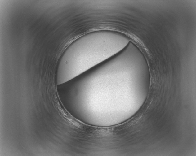 X0000058760937200509300810