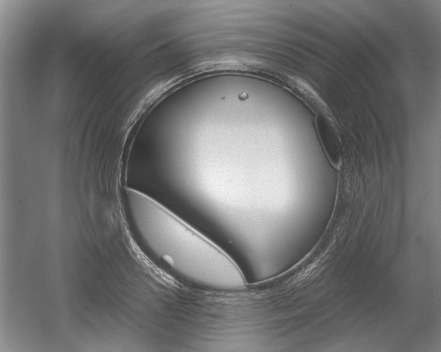 X0000058760938200509300810