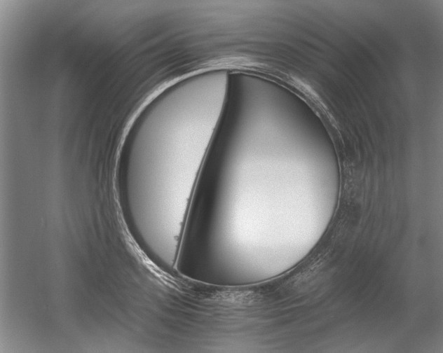 X0000058760939200509300810