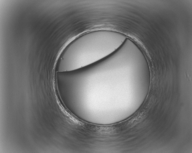 X0000058760941200509300810
