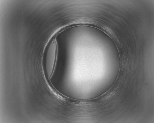 X0000058760942200509300810