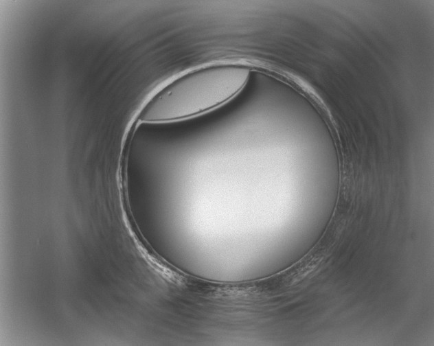 X0000058760951200509300810