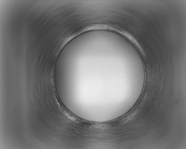 X0000058760953200509300810
