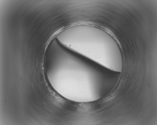 X0000058760954200509300810