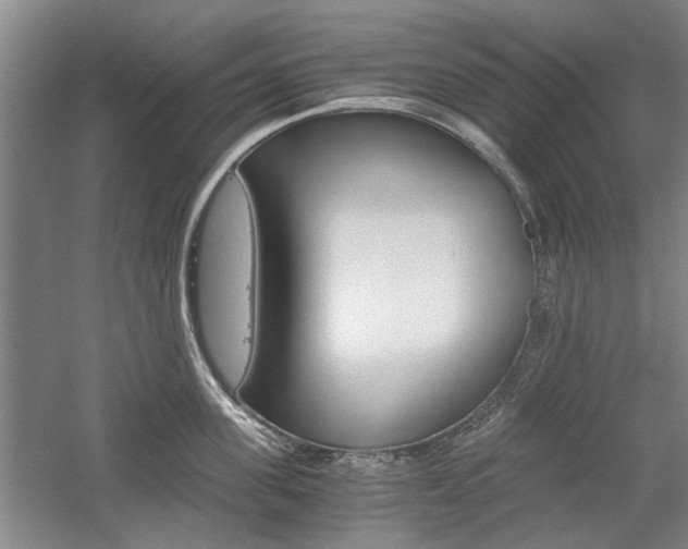 X0000058760955200509300810