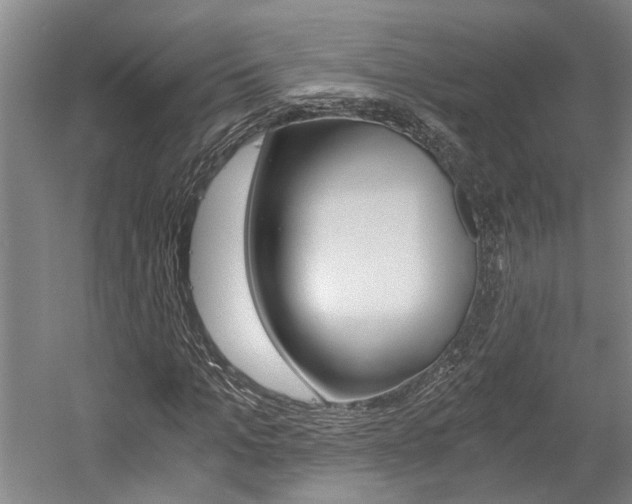 X0000058760965200509300809