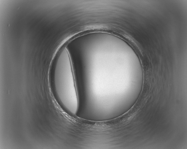 X0000058760983200509300809