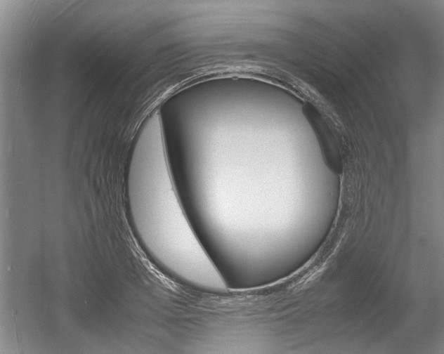 X0000058760985200509300809