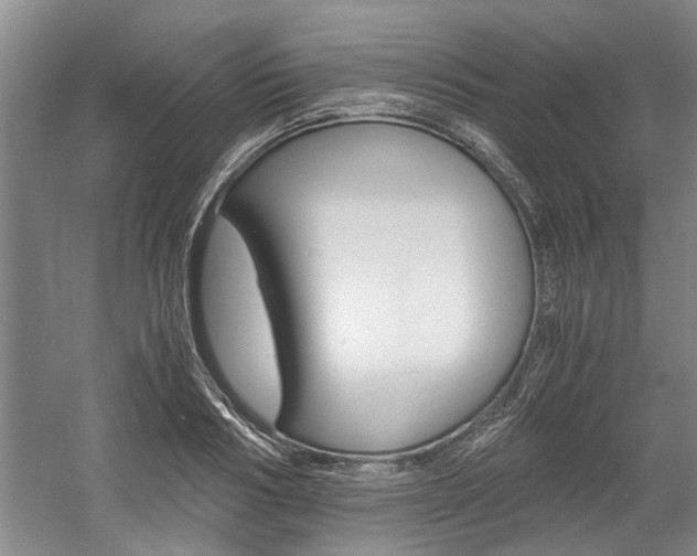 X0000058760986200509300809