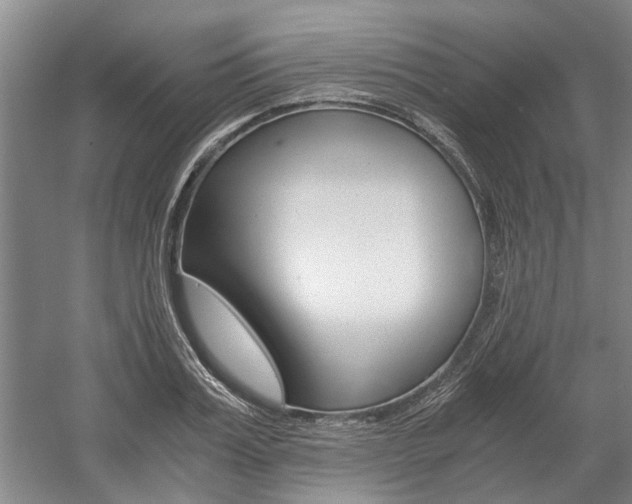 X0000058760987200509300809