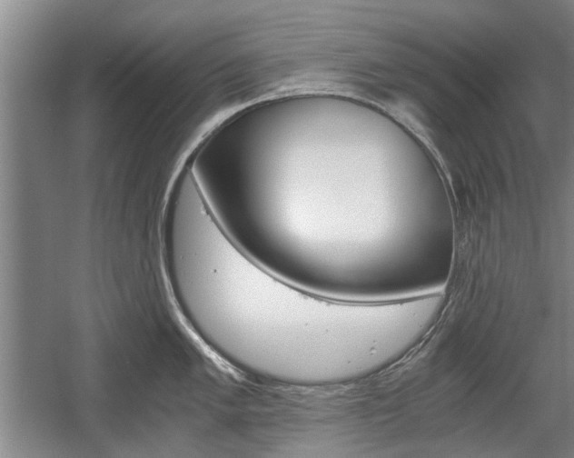 X0000058761005200509300809