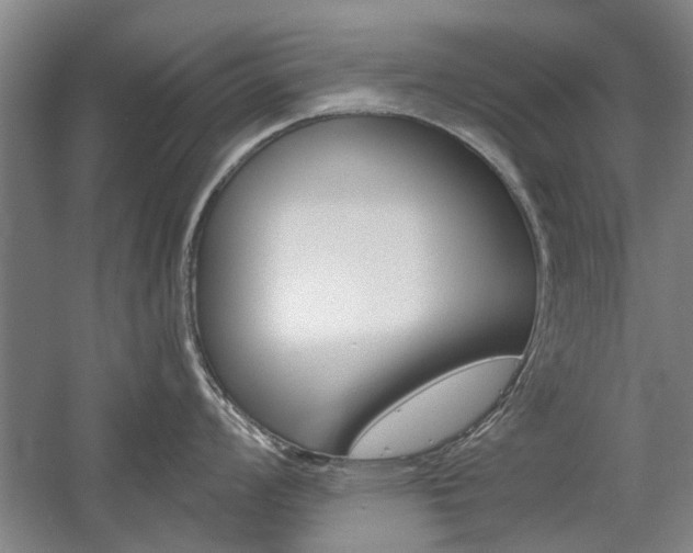 X0000058761008200509300809