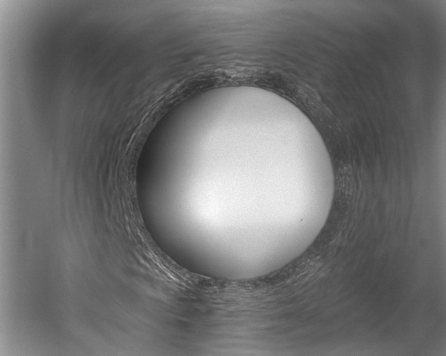 X0000058761009200509300808