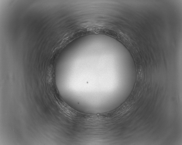 X0000058761012200509300808