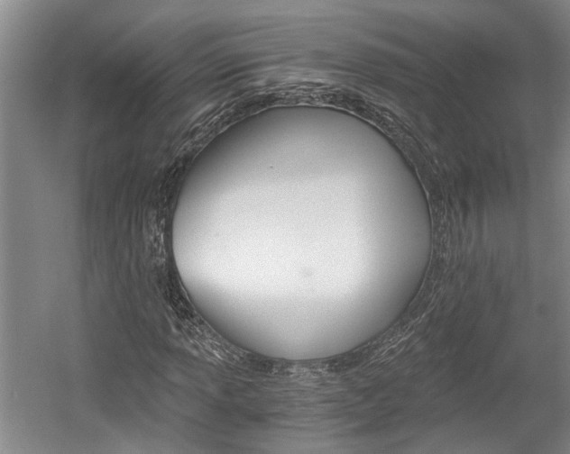 X0000058761013200509300808