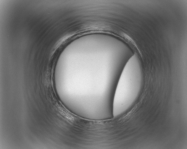 X0000058761019200509300808