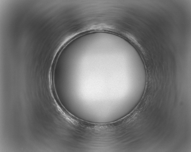 X0000058761032200509300808