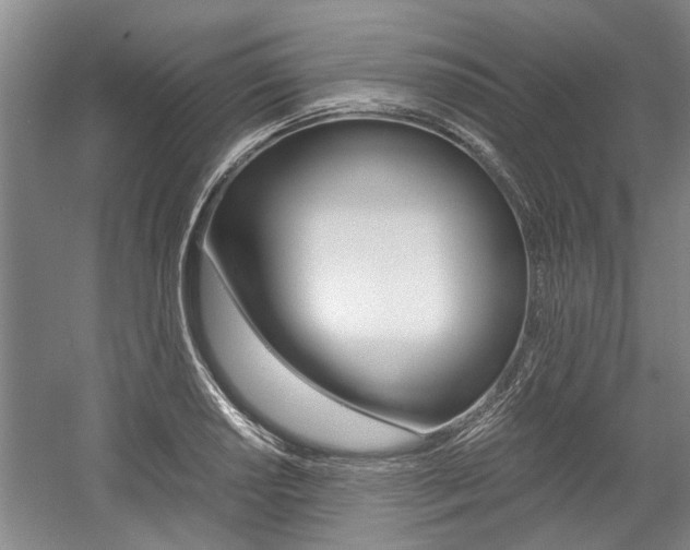 X0000058761034200509300808