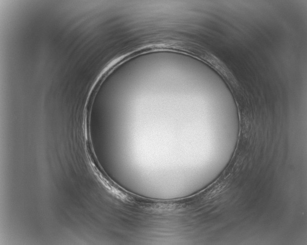 X0000058761036200509300808