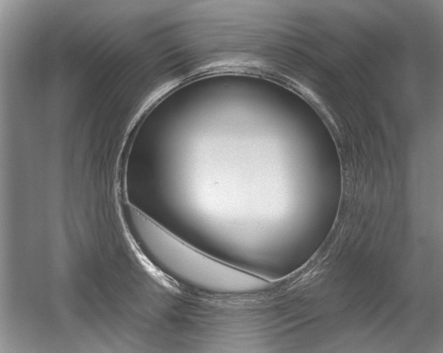 X0000058761042200509300808