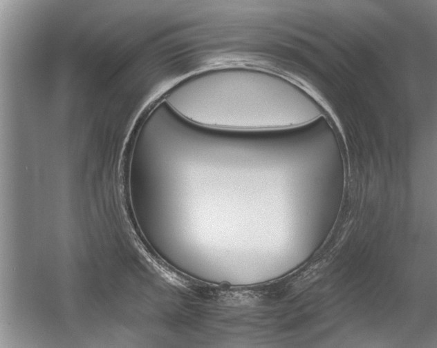 X0000058761045200509300808