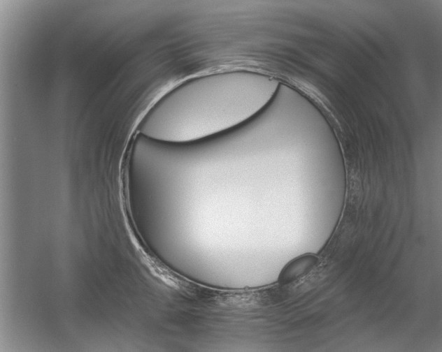 X0000058761047200509300808