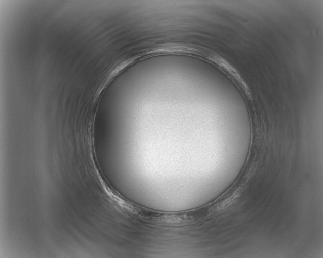 X0000058761049200509300808