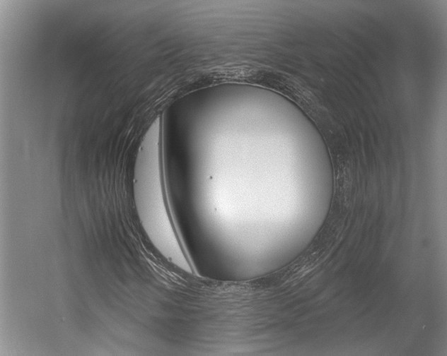 X0000058761058200509300808