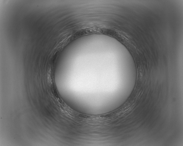 X0000058761060200509300808