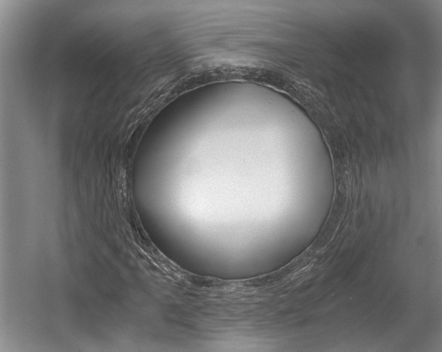 X0000058761061200509300808