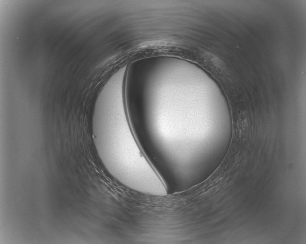 X0000058761062200509300808