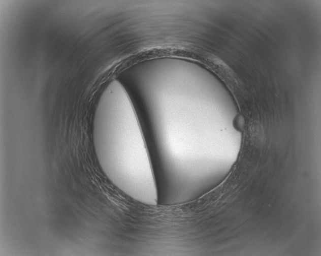X0000058761064200509300808