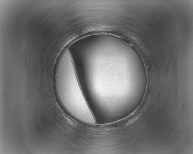 X0000058761073200509300807
