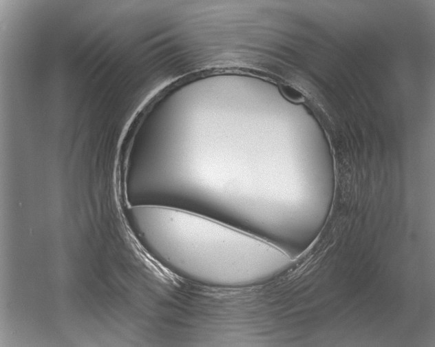 X0000058761076200509300807