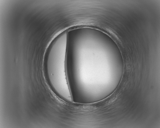 X0000058761077200509300807