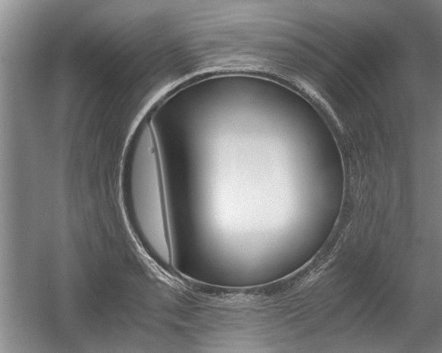 X0000058761085200509300807