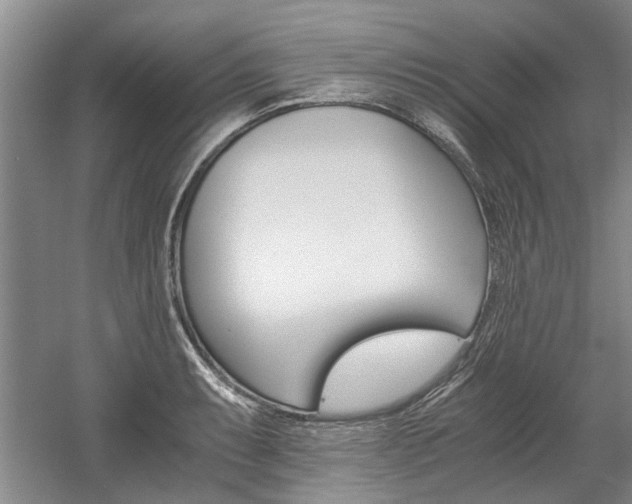 X0000058761087200509300807
