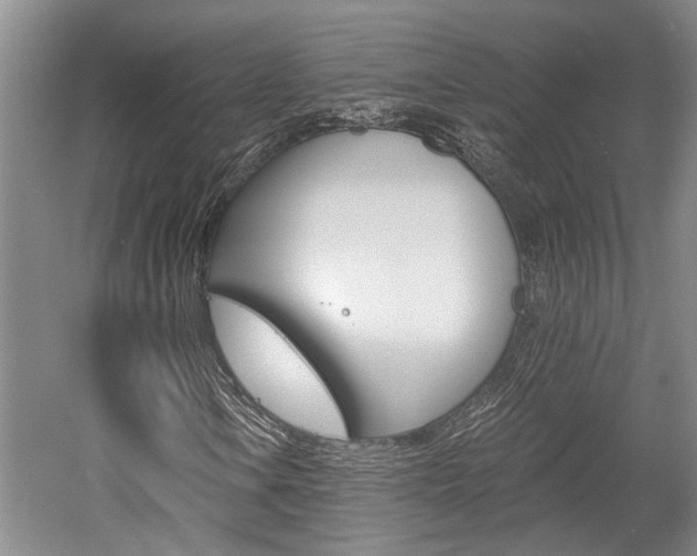 X0000058761106200509300806