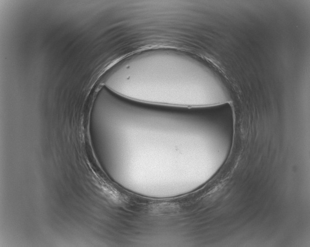 X0000058761113200509300806