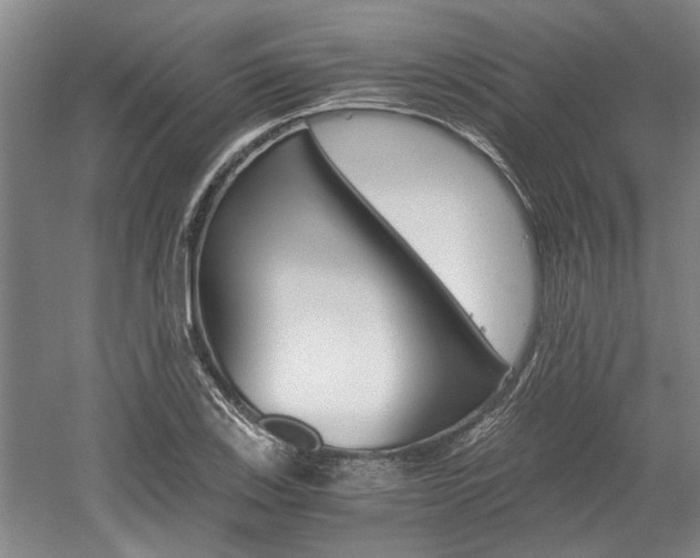 X0000058761123200509300806