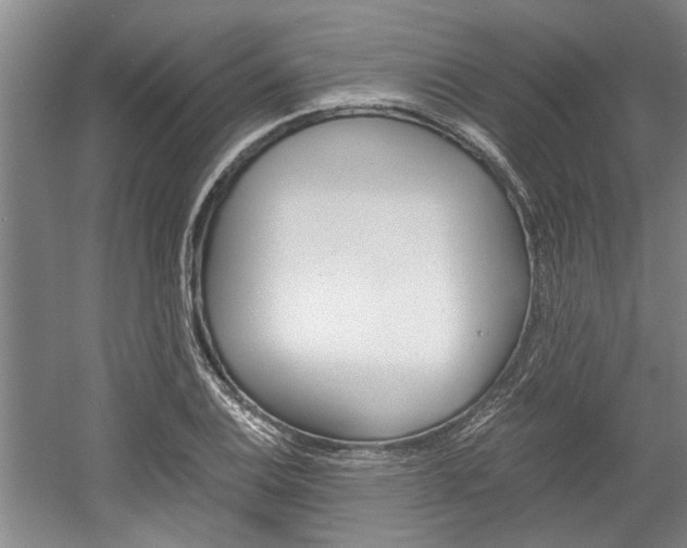 X0000058761124200509300806