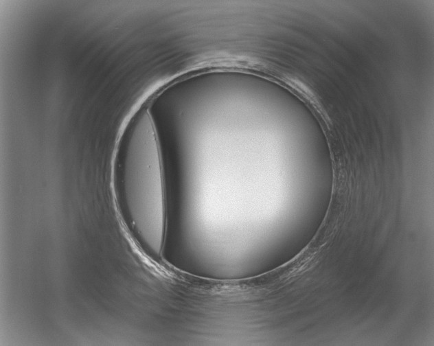 X0000058761128200509300807