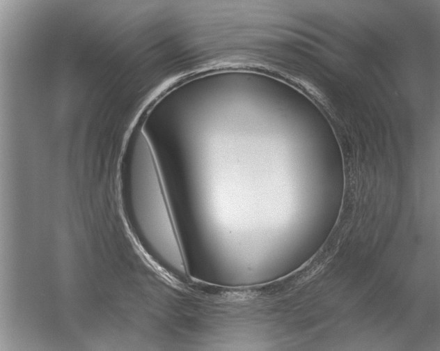 X0000058761134200509300807